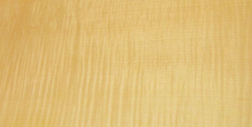 Sycomore figured veneer