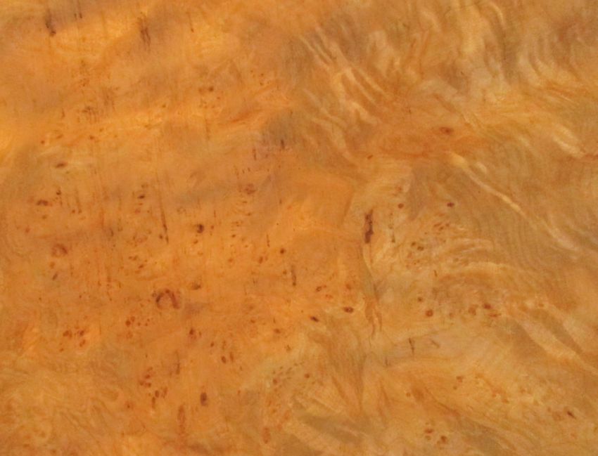 Sycomore burl veneer