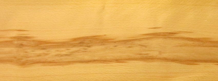 Beech unsteamed  veneer