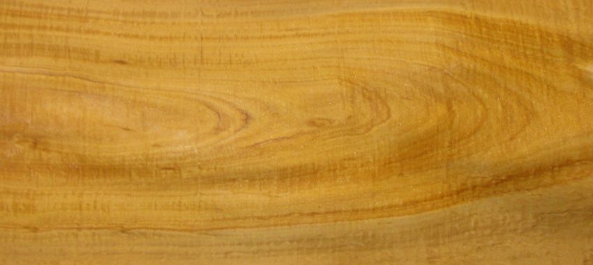 Zitrone (Satin Wood) Furnier