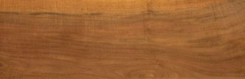 Walnut veneer