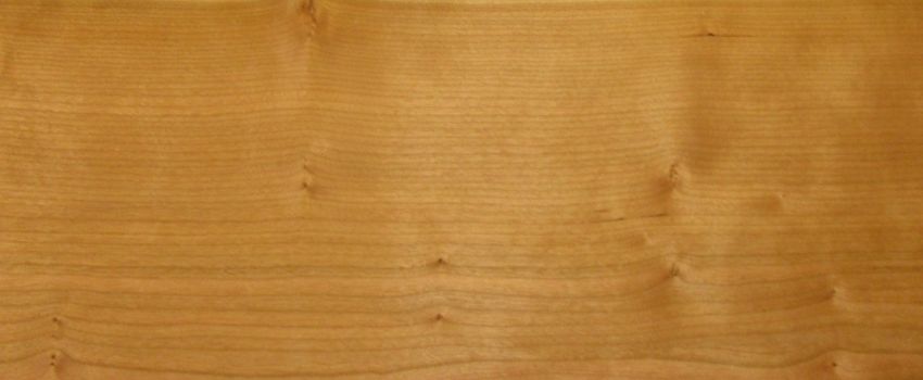 Cherry (Black Cherry) veneer