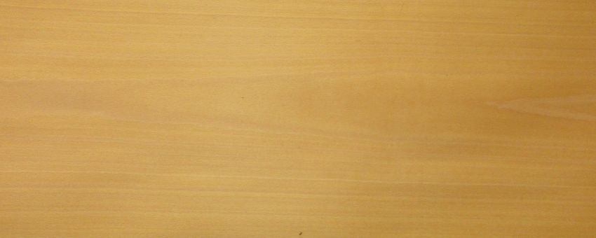 Beech veneer