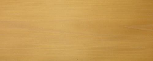 Beech veneer