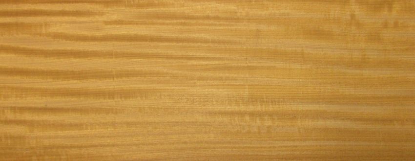 Afrormosia veneer