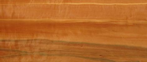 Tineo veneer packet