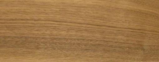 Walnut (Black Walnut) veneer packet