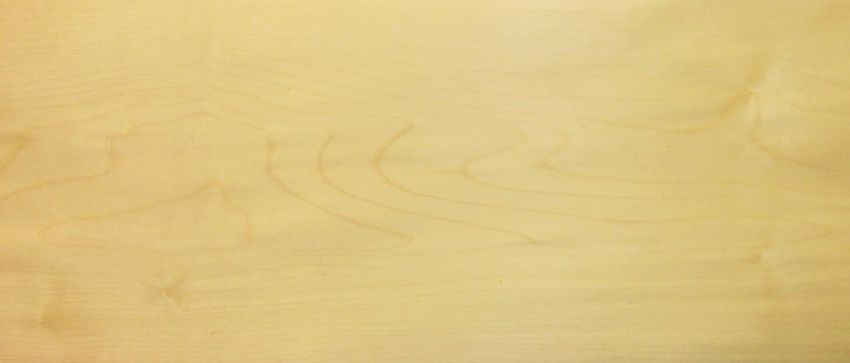 Sycomore (europ. Maple) veneer
