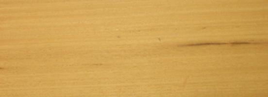 Ayous veneer