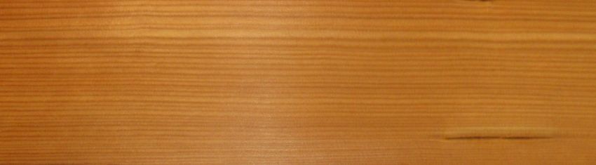 Larch veneer