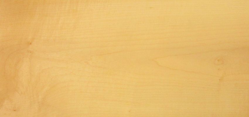 Sycomore (europ. Maple) veneer