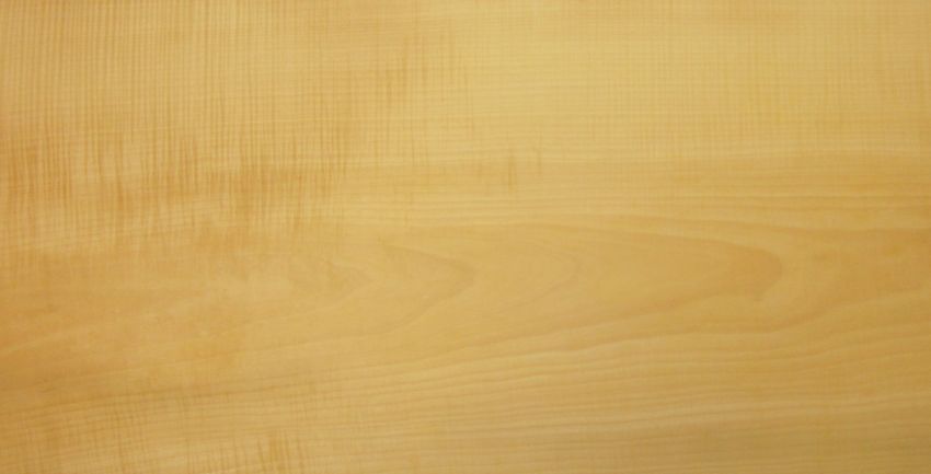 Sycomore (europ. Maple) veneer