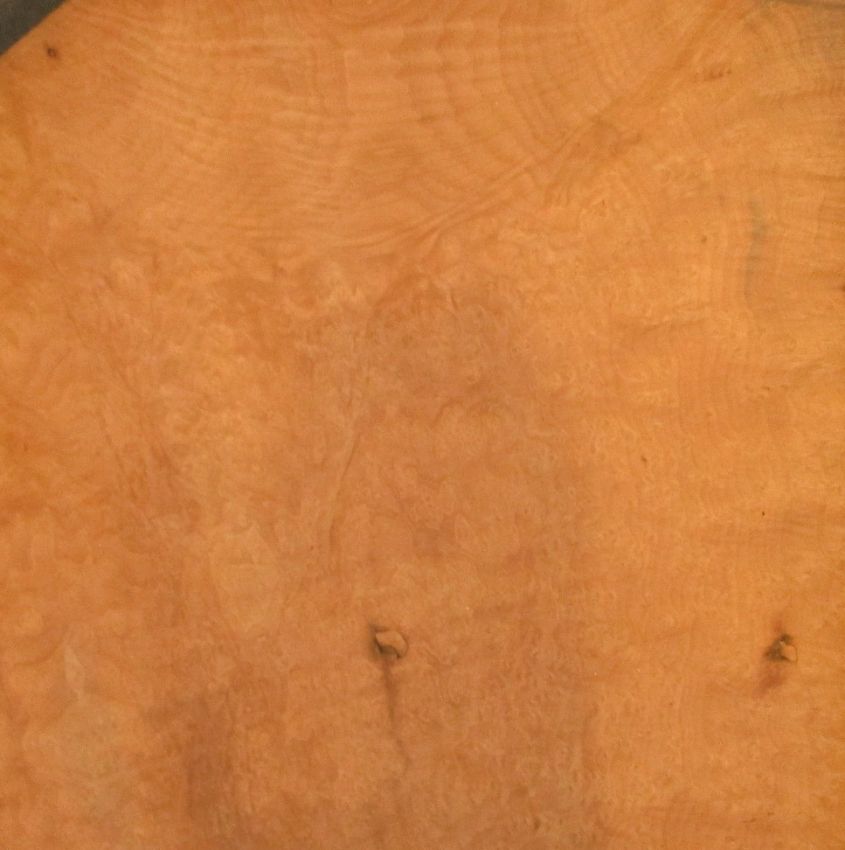 Madrona Burl veneer