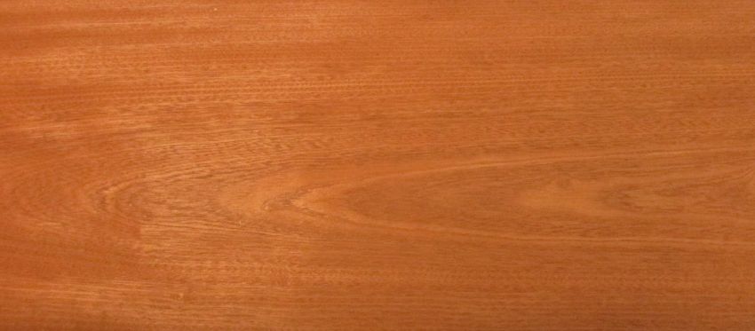 Mahogani (Sapele)  veneer