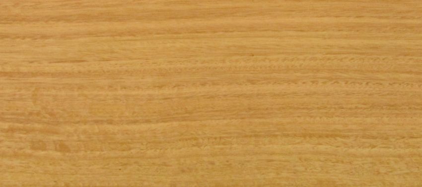 Eucalyptus veneer