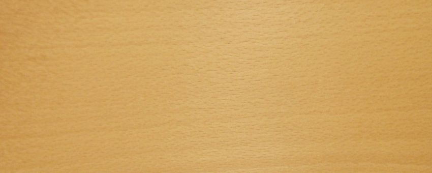 Beech veneer