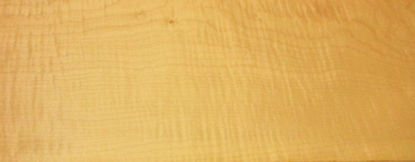 Sycomore figured veneer
