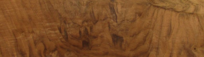 Nussbaum Maser (Wurzelholz) Furnier