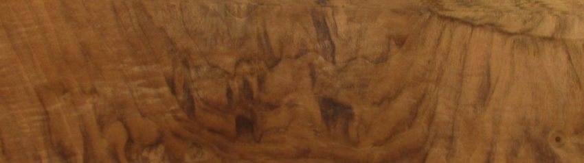 Walnut Burl veneer