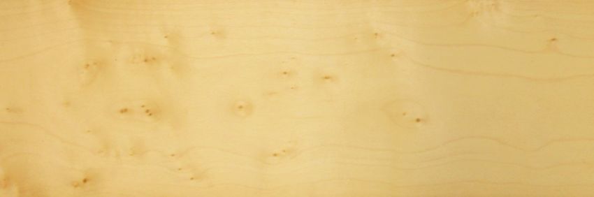 Sycomore (Knots) veneer