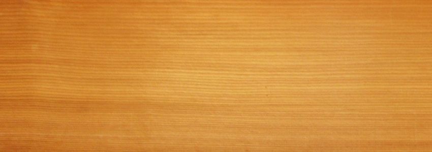 Larch veneer