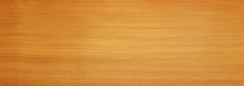 Larch veneer