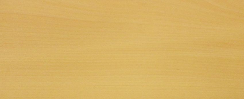 Beech veneer