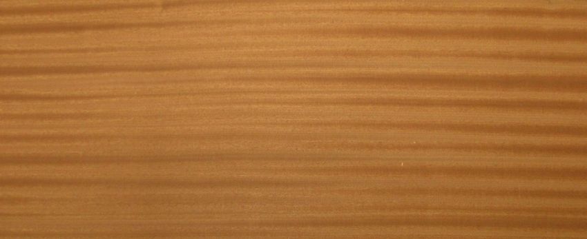 Mahagoni (Sapeli) Furnier