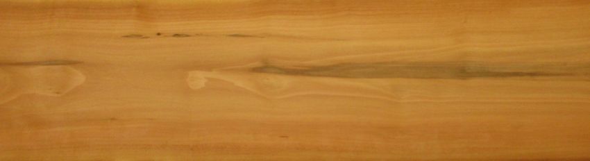 Apple veneer