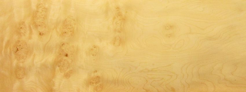 Sycomore burl veneer