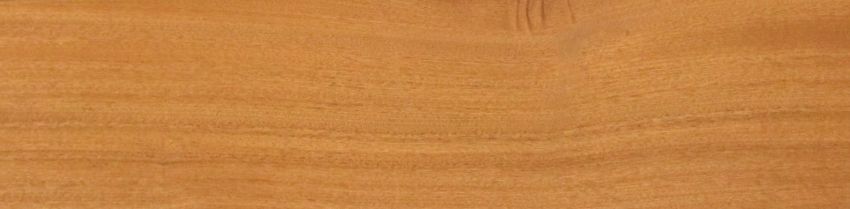 Mahogani (Sapele) veneer