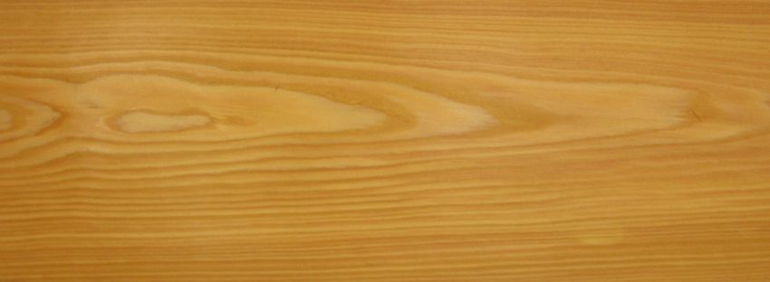 Larch veneer