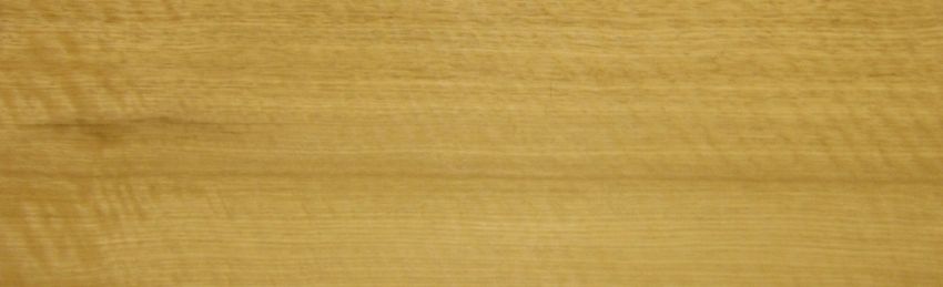 Limba Furnier