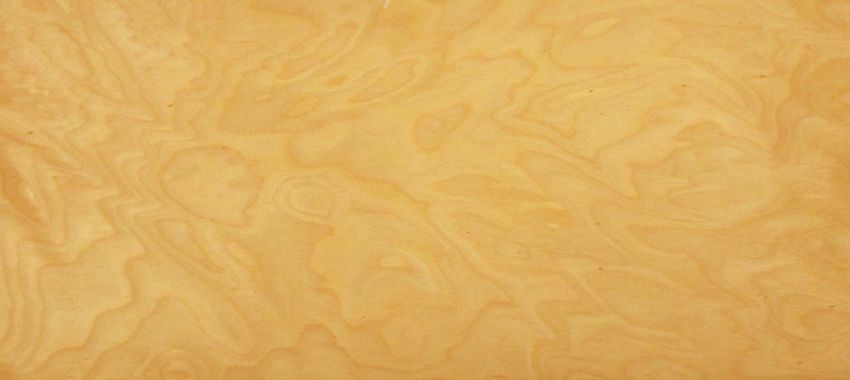 Birch Fineline veneer