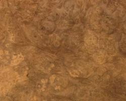 Nussbaum Maser (Wurzelholz) Furnier