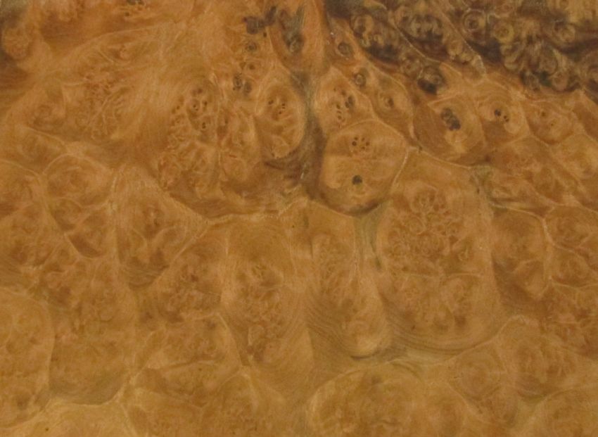 Walnut Burl veneer