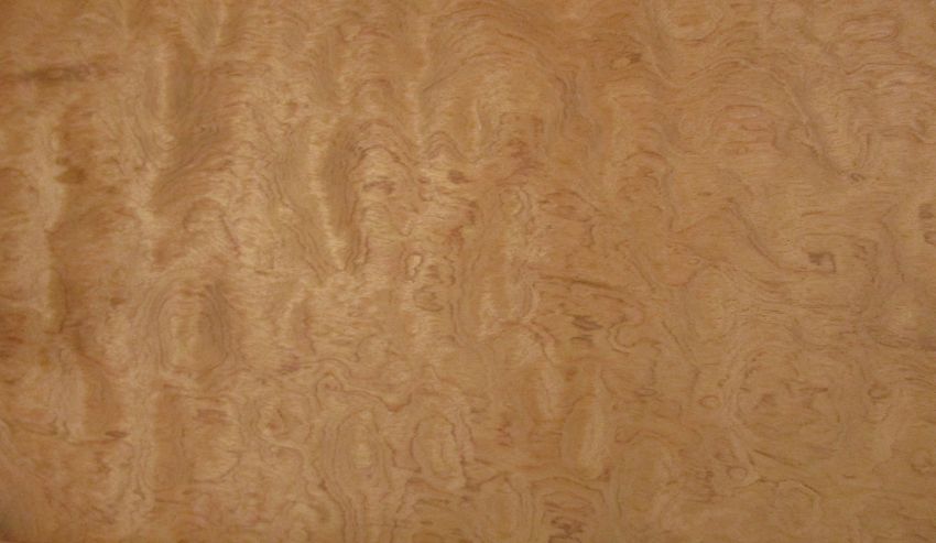 Bubnga peeled veneer