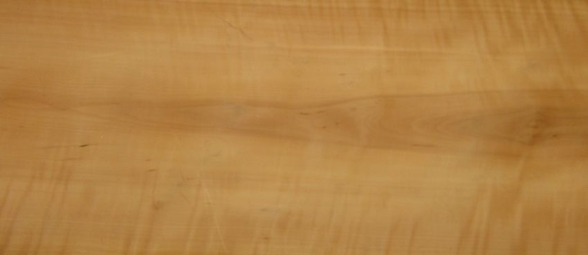 Birnbaum Riegel Furnier