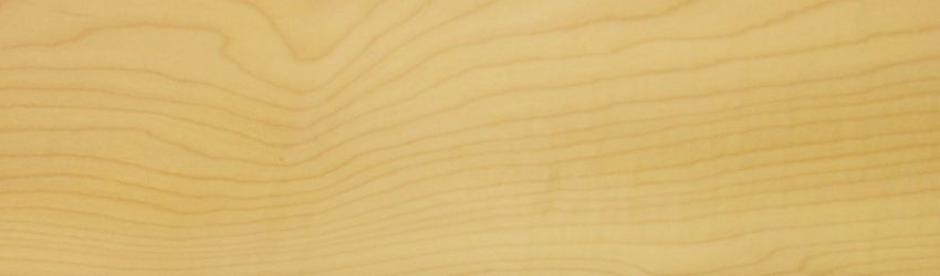 Sycomore (europ. Maple) veneer