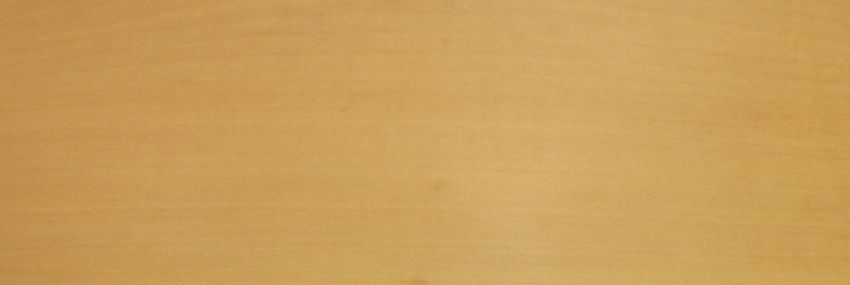Beech veneer