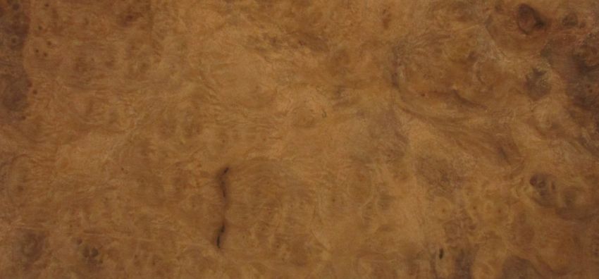 Walnut Burl veneer