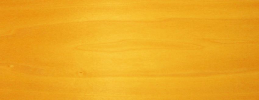 Poplar yellow veneer
