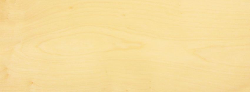 Sycomore (europ. Maple) veneer