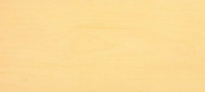 Sycomore (europ. Maple) veneer