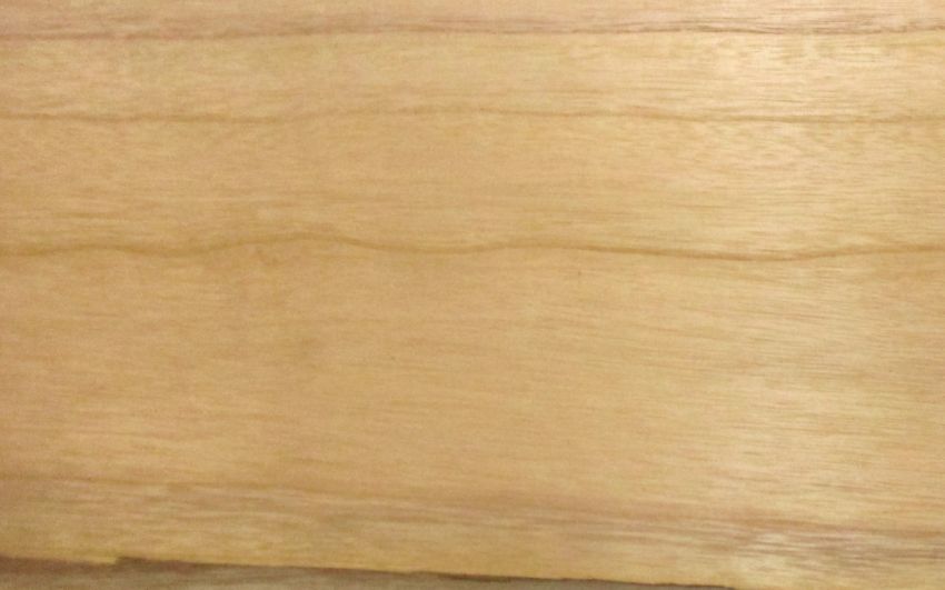 Paulownia veneer