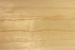 Paulownia Furnierpaket