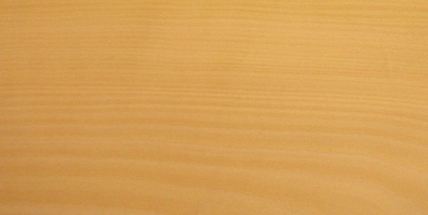 Beech veneer