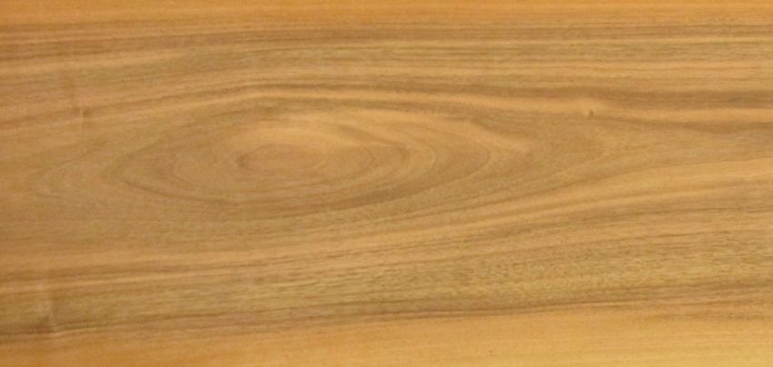 Walnut French veneer