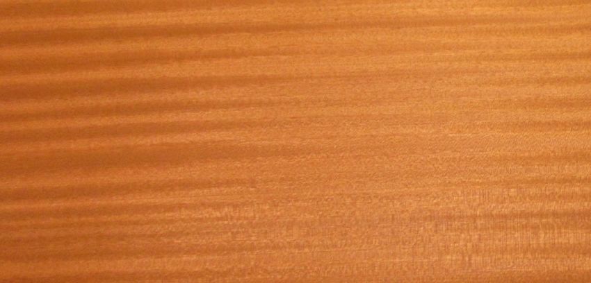 Mahogani (Sapele)  veneer