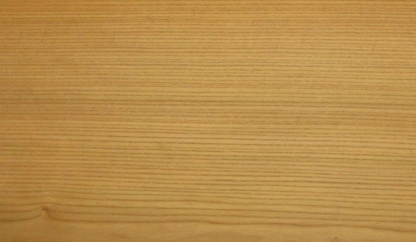 Elm (european) veneer